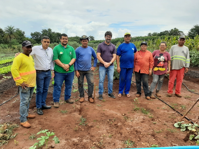 Cinturão Verde mostra a eficiência da produção semi-orgânica da agricultura familiar em Costa Rica