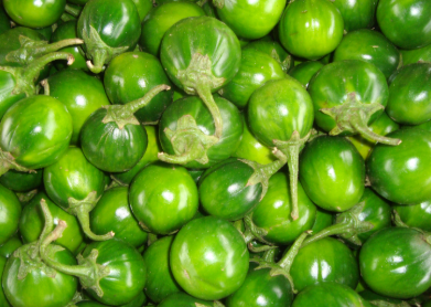 Jiló