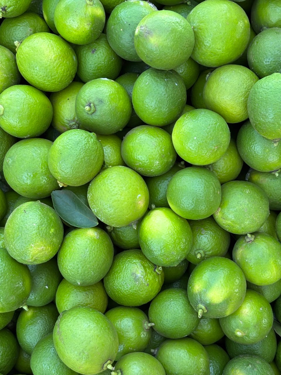 Limão