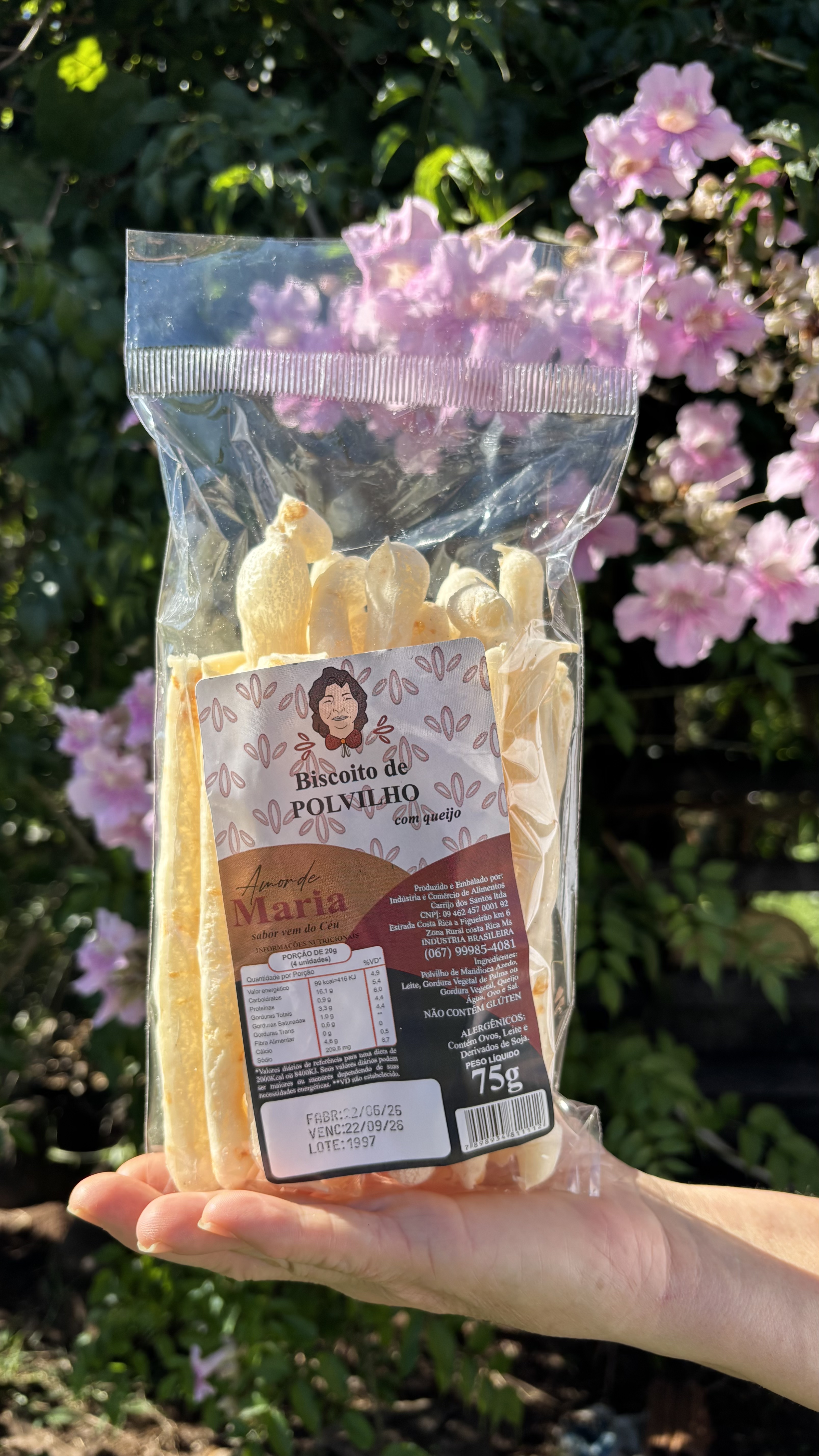 Biscoito de Polvilho com queijo